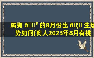 属狗 🌳 的8月份出 🦅 生运势如何(狗人2023年8月有挑花运吗)